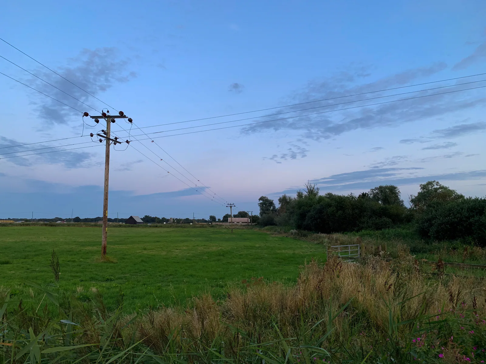 Electricity Prices in South Australia: 2026 Trends, Cost Comparisons & How Solar Can Maximize Your ROI