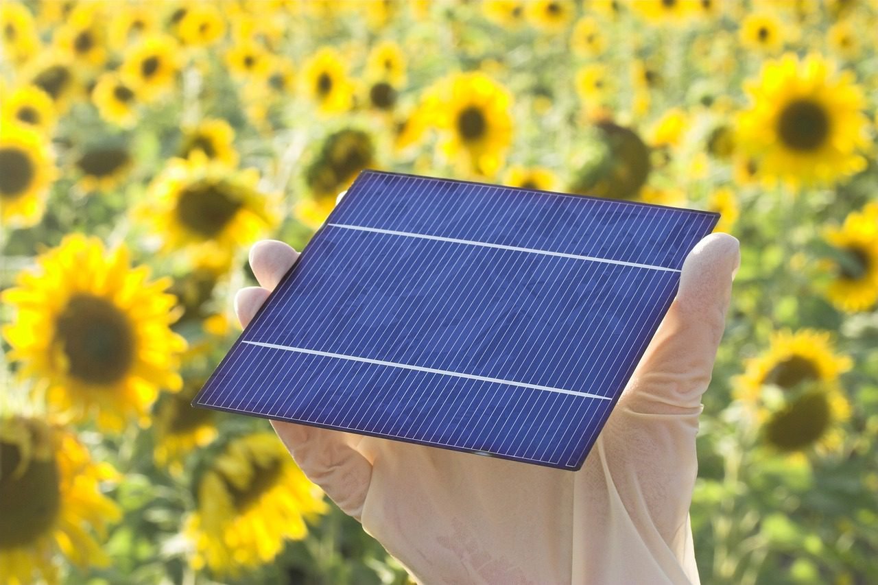 Sungrow Vs Fronius