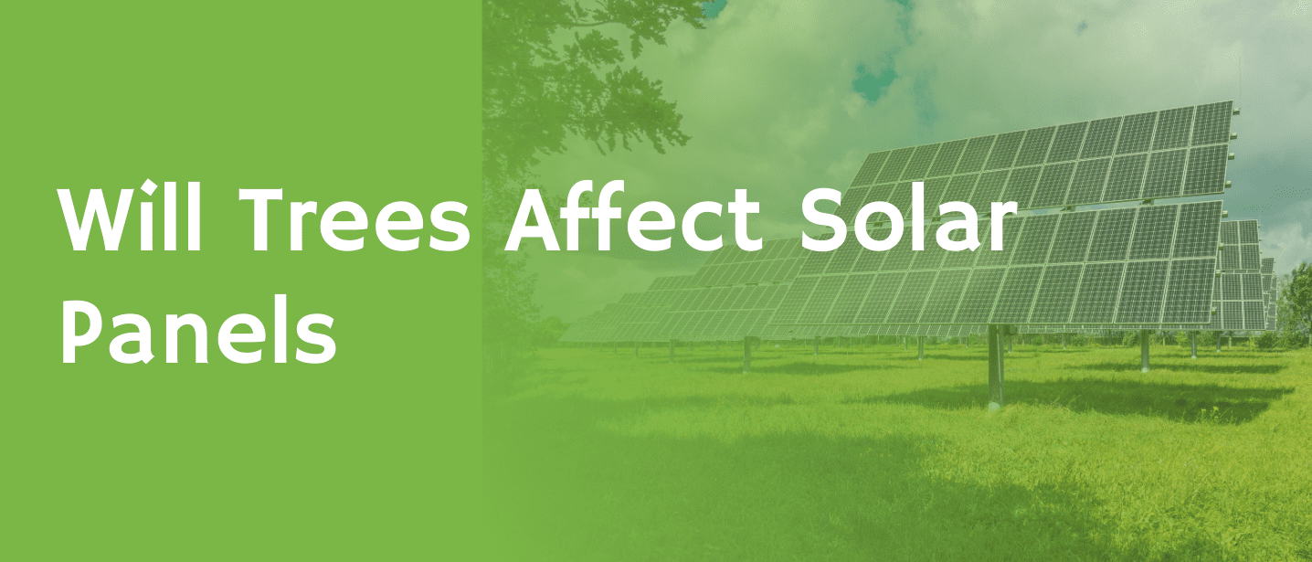 Will Trees Affect Solar Panels?